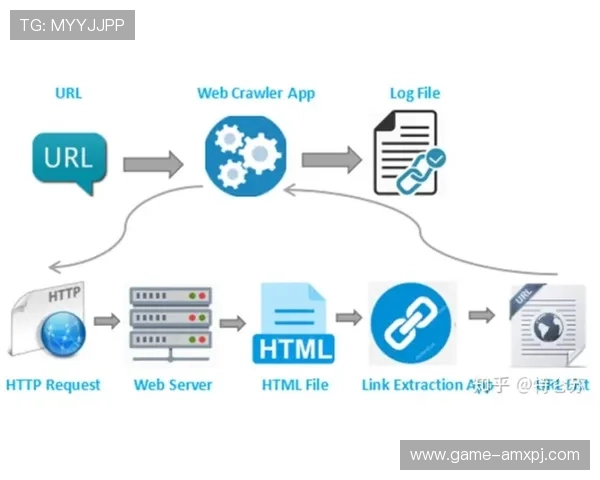 新甫京网站登录线路优化方案提升访问速度的实用技巧