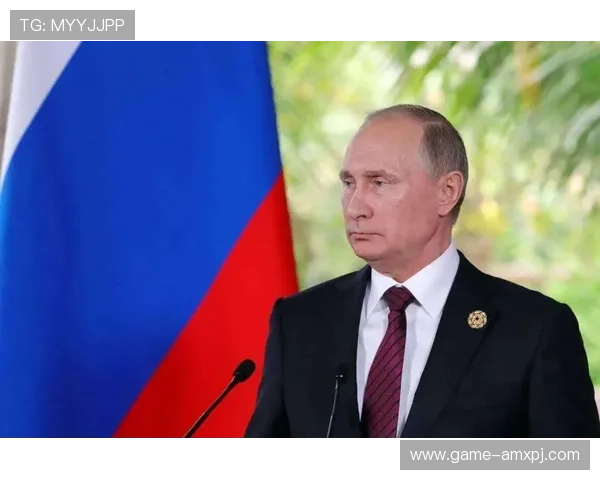 新普京时代俄罗斯的国内改革措施及其在全球政治格局中的新定位与挑战